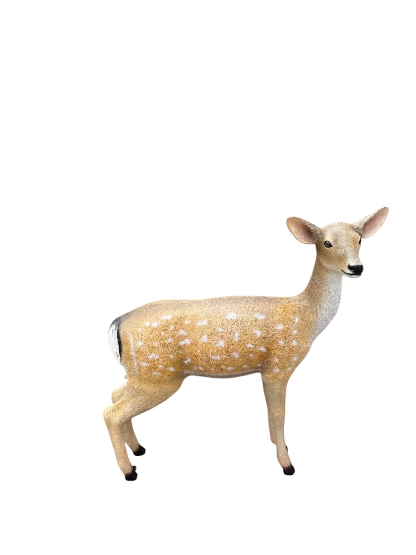 Deer Doe Adult - Custom Prop Rentals