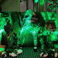 Dinosaur Head Package - Custom Prop Rentals