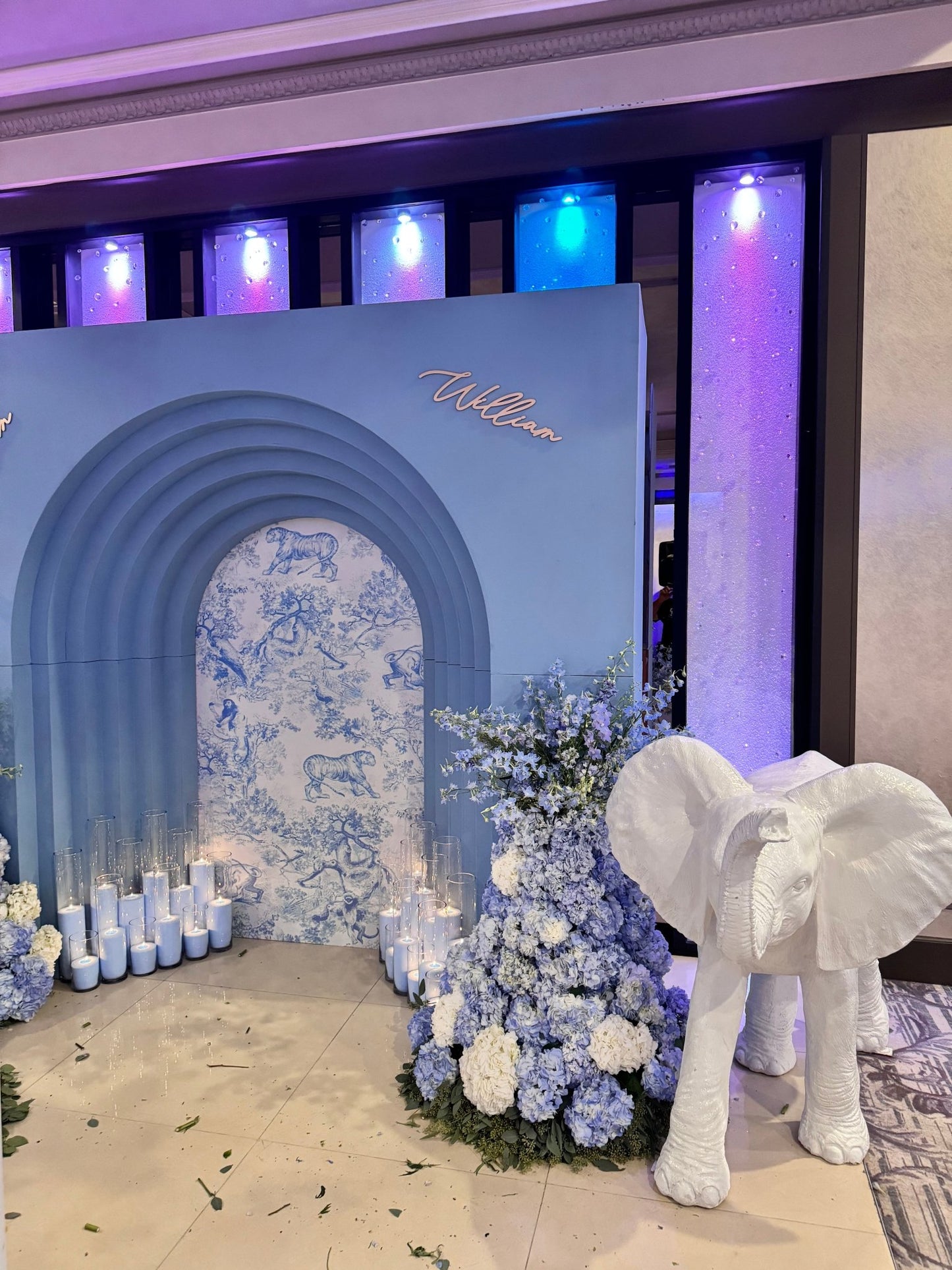 Dior Inspired Backdrop - Custom Prop Rentals