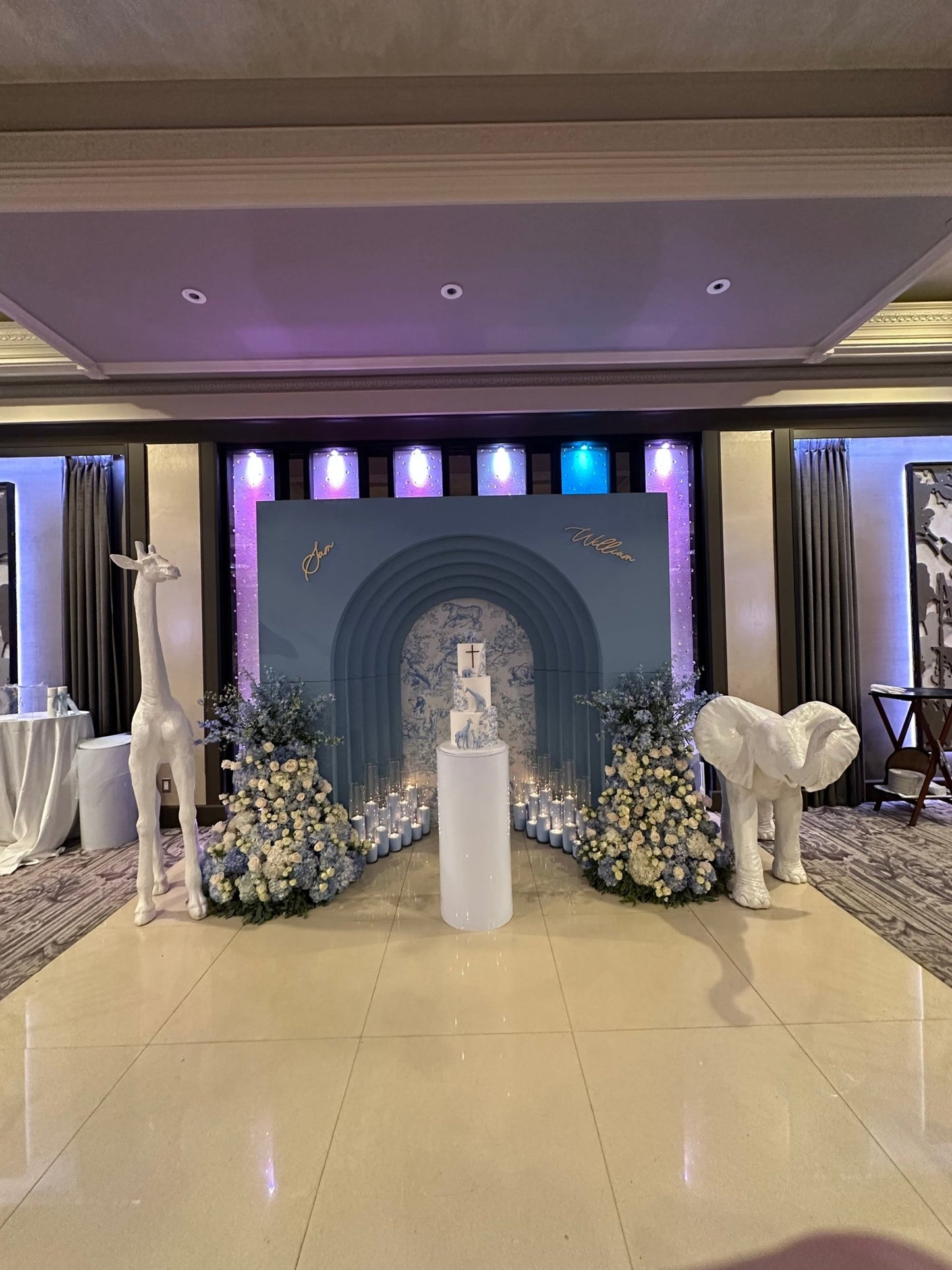 Dior Inspired Backdrop - Custom Prop Rentals