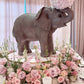 Elephant Baby - Custom Prop Rentals