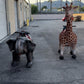 Elephant Ride - Custom Prop Rentals