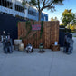 Elephant Sitting no Tusk - Custom Prop Rentals