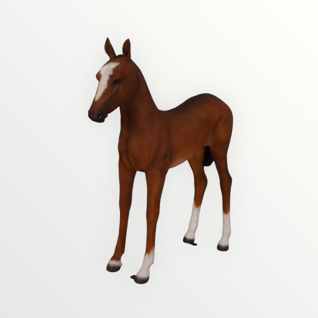 Foal Pony - Custom Prop Rentals