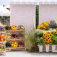 Fruit Basket - Custom Prop Rentals