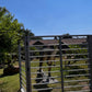 Gate Dinosaur Tri - Fold Gate - Custom Prop Rentals