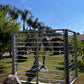 Gate Dinosaur Tri - Fold Gate - Custom Prop Rentals