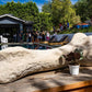 Giant Dinosaur Bone - Custom Prop Rentals