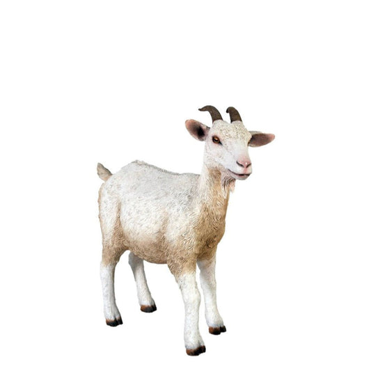 Goat Standing - Custom Prop Rentals