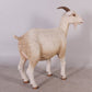 Goat Standing - Custom Prop Rentals