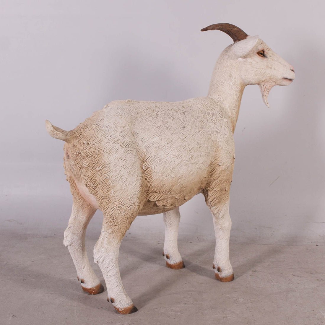 Goat Standing - Custom Prop Rentals