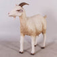 Goat Standing - Custom Prop Rentals