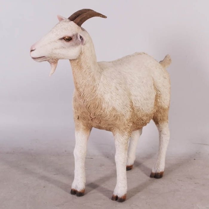 Goat Standing - Custom Prop Rentals