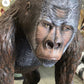 Gorilla Standing - Custom Prop Rentals