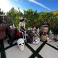 Grand Pirate Ship - Custom Prop Rentals