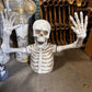 Ground Skeleton - Custom Prop Rentals