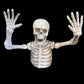 Ground Skeleton - Custom Prop Rentals