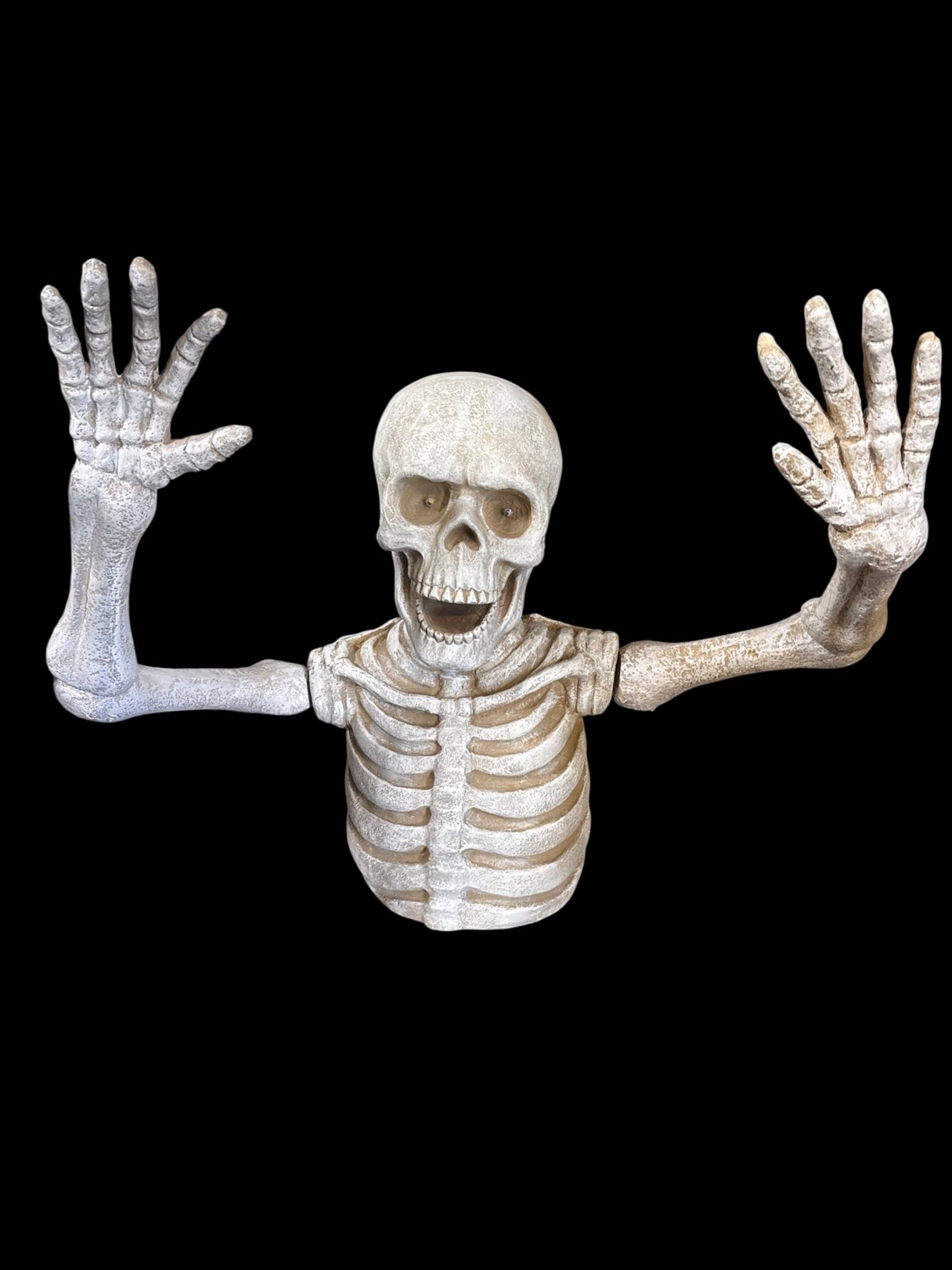 Ground Skeleton - Custom Prop Rentals