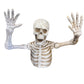 Ground Skeleton - Custom Prop Rentals