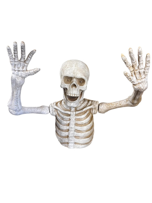 Ground Skeleton - Custom Prop Rentals