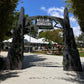 Jurassic Gate 15FT - Custom Prop Rentals