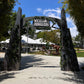 Jurassic Gate 15FT - Custom Prop Rentals