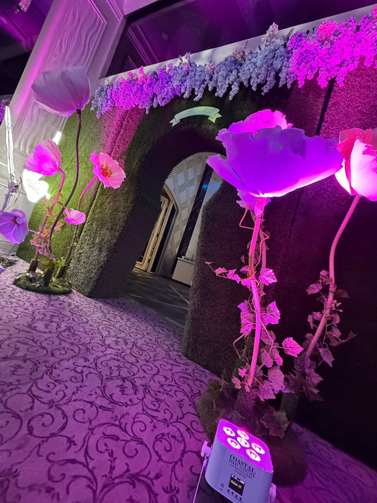 Keyhole Backdrop - Custom Prop Rentals