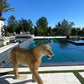Lioness - Custom Prop Rentals