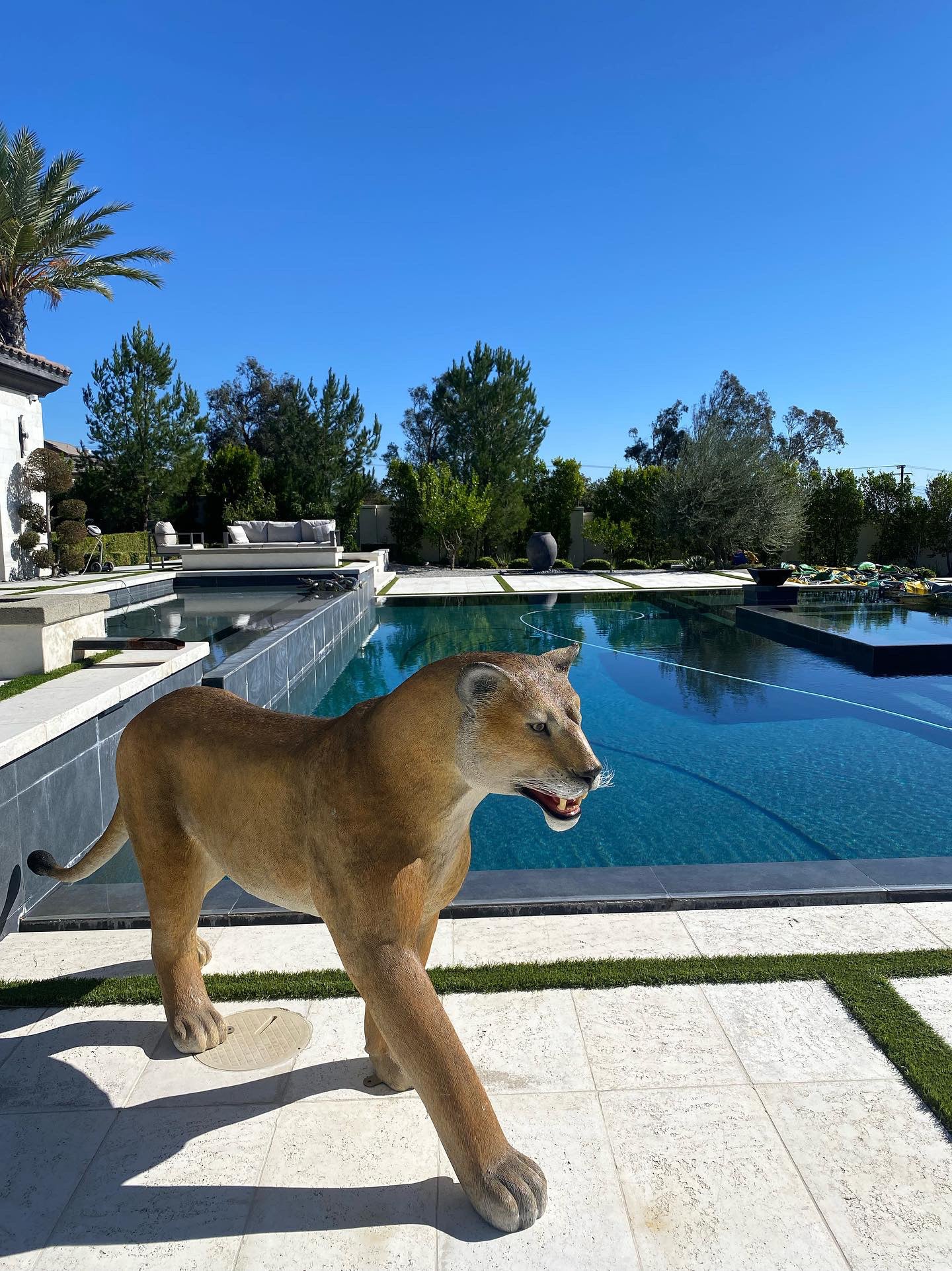 Lioness - Custom Prop Rentals