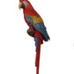 Macaw Parrot - Custom Prop Rentals