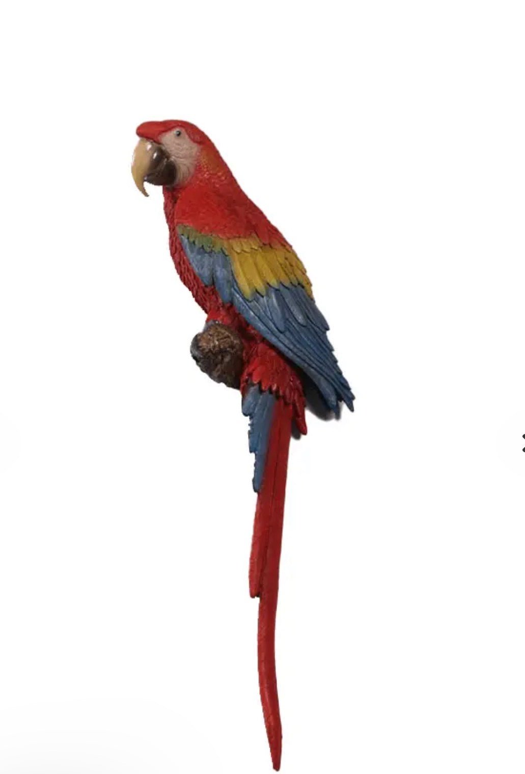 Macaw Parrot - Custom Prop Rentals