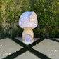 Mini Mushroom House Package - Custom Prop Rentals
