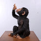 Monkey Chimpanzee Boozy - Custom Prop Rentals