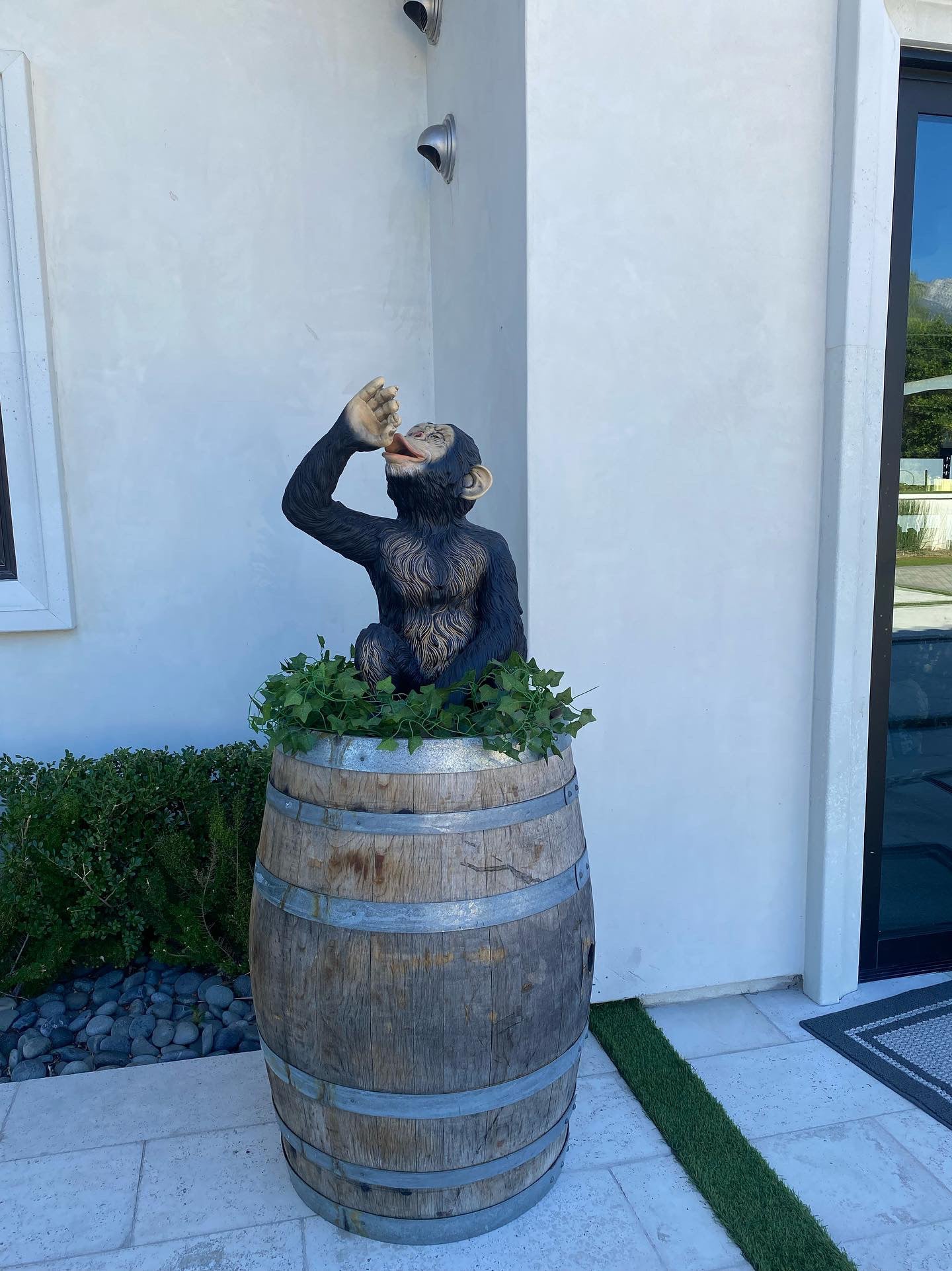 Monkey Chimpanzee Boozy - Custom Prop Rentals
