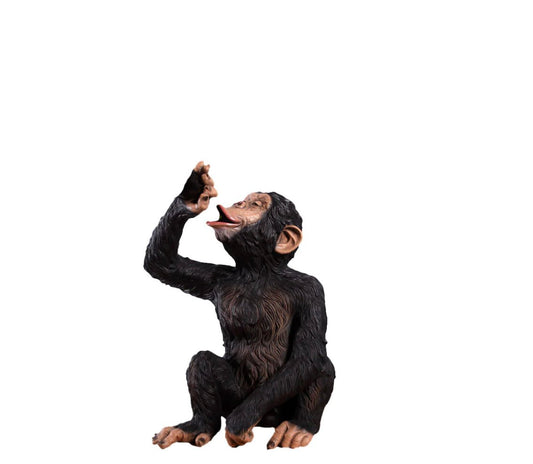 Monkey Chimpanzee Boozy - Custom Prop Rentals