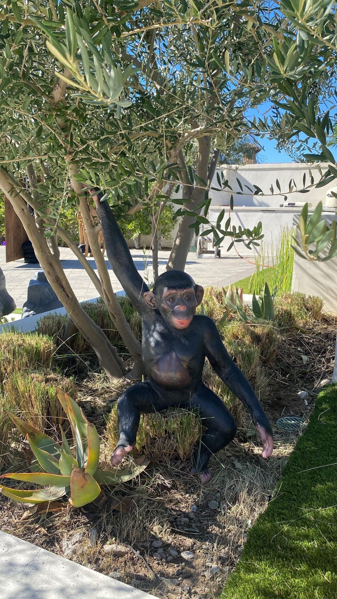 Monkey Chimpanzee Hanging - Custom Prop Rentals