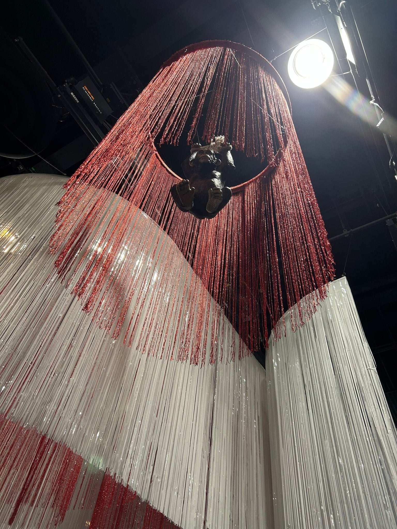 Monkey Chimpanzee Hanging On Rope - Custom Prop Rentals