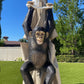 Monkey Chimpanzee Hanging On Rope - Custom Prop Rentals