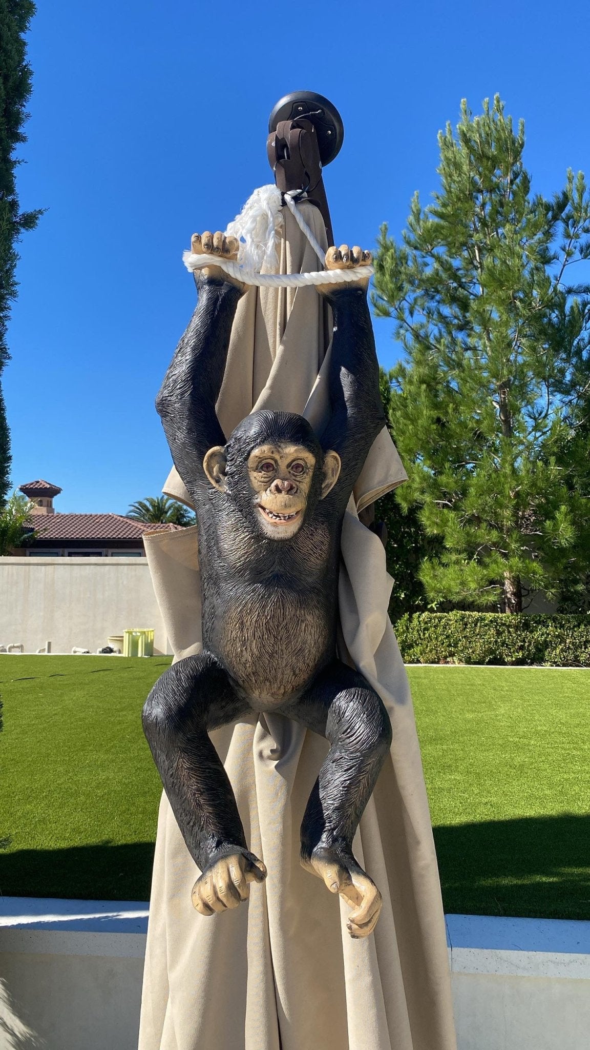 Monkey Chimpanzee Hanging On Rope - Custom Prop Rentals