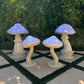 Mushroom Mixed Package Lavender 1 - Custom Prop Rentals