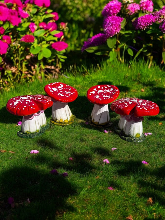 Mushroom Red & White Package - Custom Prop Rentals