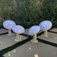 Mushroom Tilt Lavender Package - Custom Prop Rentals
