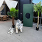Package Siberian Tiger - Custom Prop Rentals