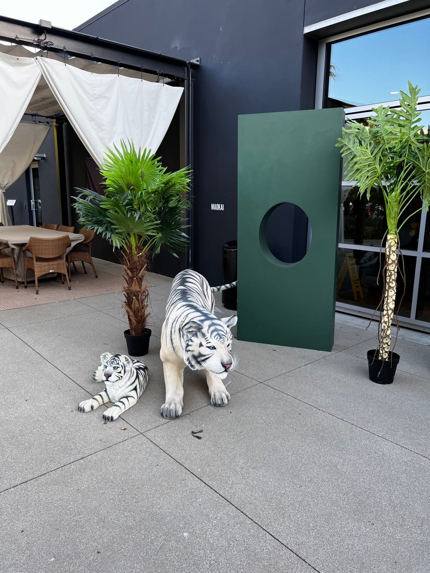 Package Siberian Tiger - Custom Prop Rentals