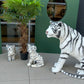 Package Siberian Tiger - Custom Prop Rentals