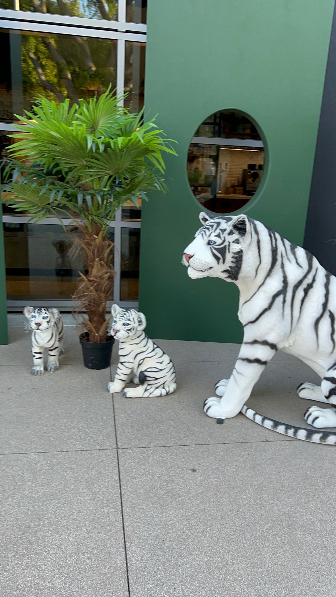 Package Siberian Tiger - Custom Prop Rentals
