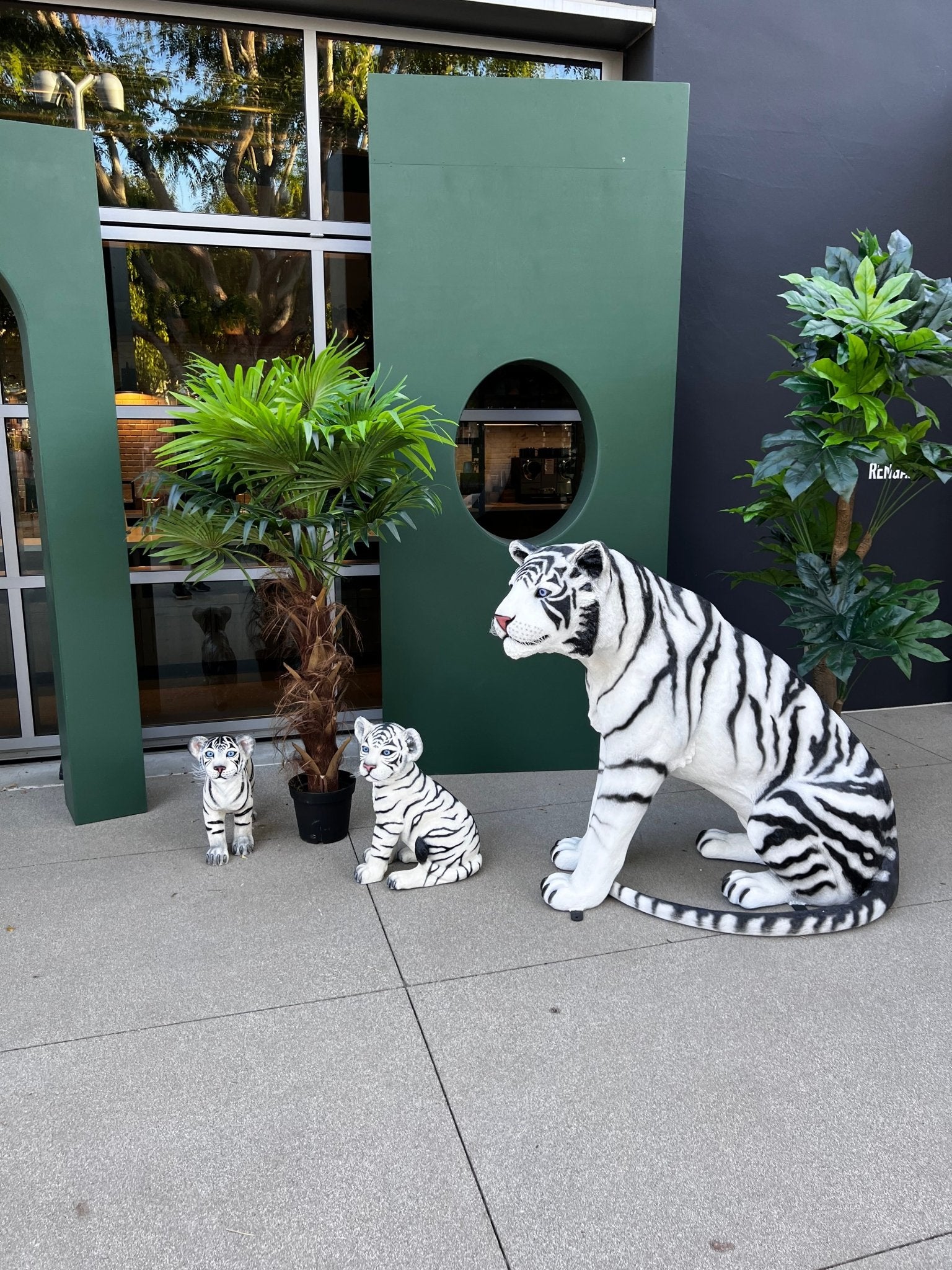 Package Siberian Tiger - Custom Prop Rentals