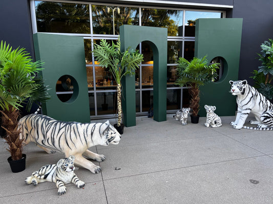 Package Siberian Tiger - Custom Prop Rentals