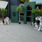 Package Siberian Tiger - Custom Prop Rentals