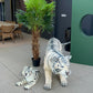 Package Siberian Tiger - Custom Prop Rentals